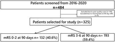 Pre-treatment radiological factors associated with poor functional outcome in an Asian cohort of large vessel occlusion acute ischemic stroke patients undergoing mechanical thrombectomy